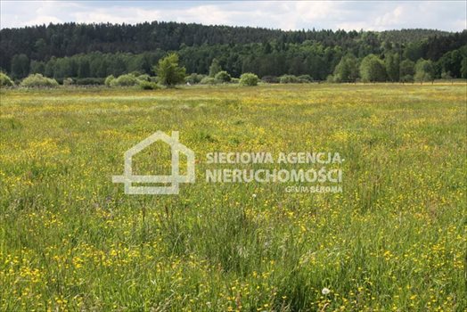 Działka budowlana na sprzedaż Lubowidz 1 083m2 Foto 6