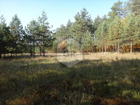 Działka budowlana na sprzedaż Kościerzyna 1 254m2 Foto 4