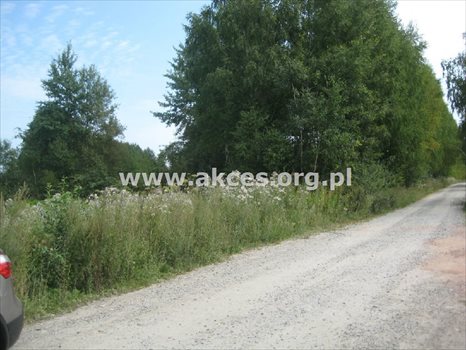 Działka inna na sprzedaż Słubica A 18 864m2 Foto 1