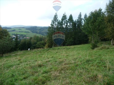 Działka budowlana na sprzedaż Rabka-Zdrój 5 650m2 Foto 4