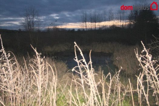 Działka inna na sprzedaż Trutowo 7 952m2 Foto 3