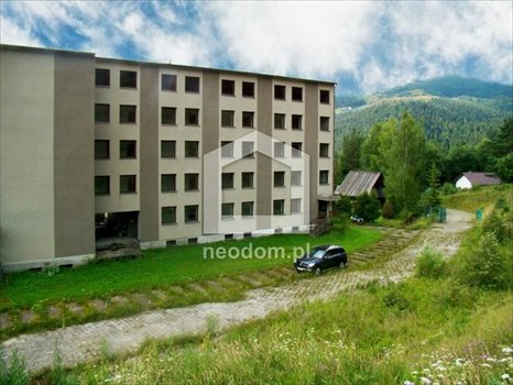 Działka inna na sprzedaż Szczawa 15 000m2 Foto 5