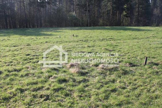 Działka budowlana na sprzedaż Lubowidz 1 760m2 Foto 5