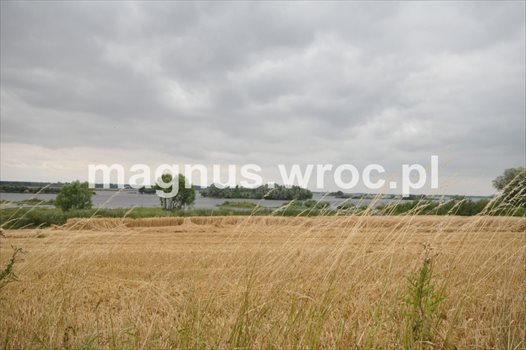 Działka budowlana na sprzedaż Domanice 5 100m2 Foto 2