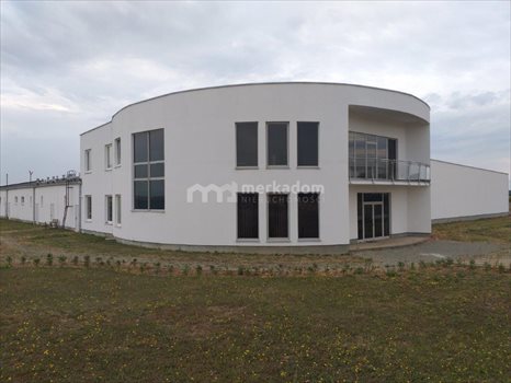 Lokal użytkowy na sprzedaż Tarnowo Podgórne 4 000m2 Foto 4