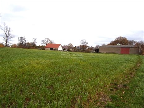 Lokal użytkowy na sprzedaż Golnice 200 000m2 Foto 13