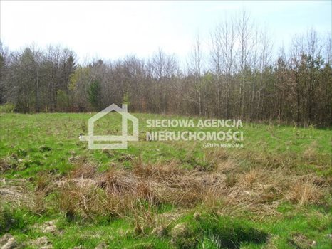 Działka budowlana na sprzedaż Sitno 1 761m2 Foto 6