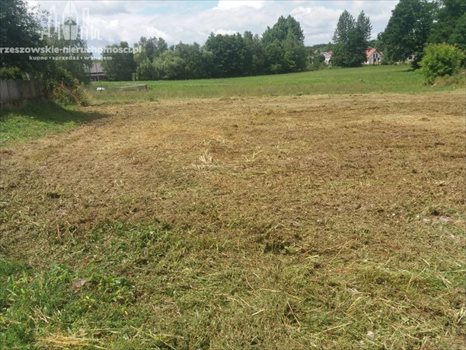Działka budowlana na sprzedaż Zgłobień 3 800m2 Foto 3