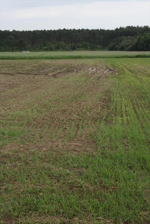 Działka budowlana na sprzedaż Kotórz Mały 13 410m2 Foto 2