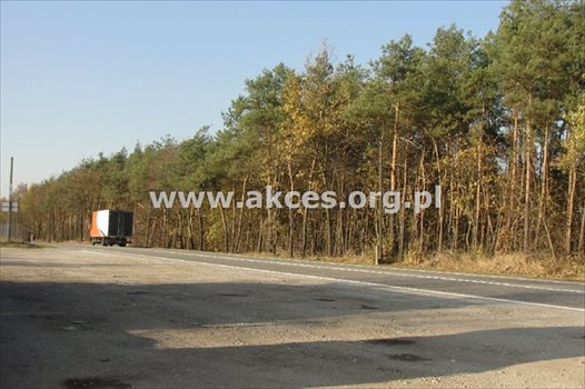 Działka budowlana na sprzedaż Chudolipie 32 600m2 Foto 7