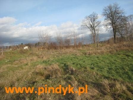 Działka budowlana na sprzedaż polska, Staniszów 1 724m2 Foto 2