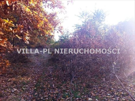 Działka budowlana na sprzedaż Łódź, Bałuty 2 900m2 Foto 4