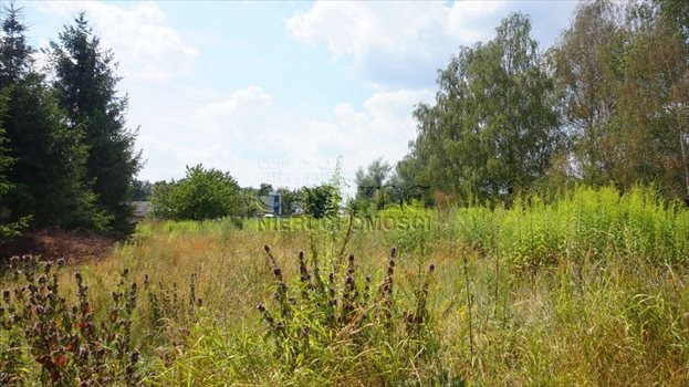 Działka budowlana na sprzedaż Kobylnica, Dolinowa 1 256m2 Foto 12