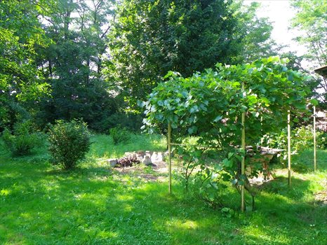 Działka budowlana na sprzedaż Jasło 5 533m2 Foto 2