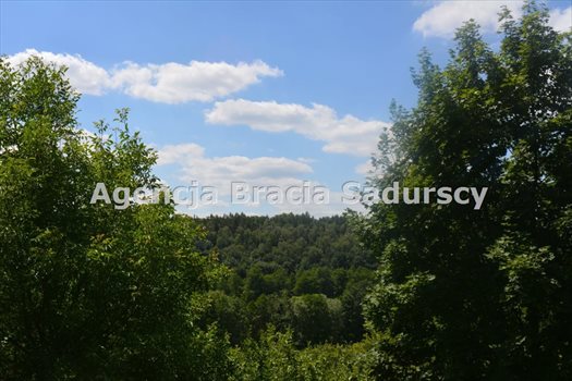 Działka rekreacyjna na sprzedaż Januszowice 1 069m2 Foto 12