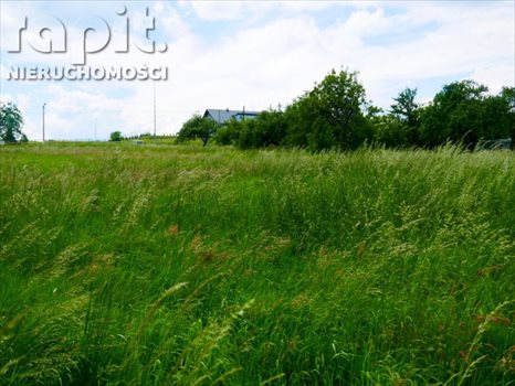 Działka budowlana na sprzedaż Borzęta 2 700m2 Foto 3