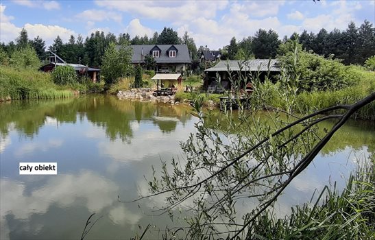 Dom na sprzedaż Szczecno 105m2 Foto 10
