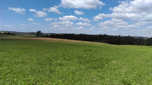 Działka inna na sprzedaż Masłomiąca 1 500m2 Foto 3