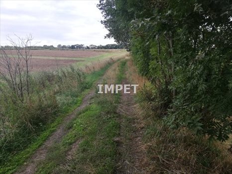 Działka rolna na sprzedaż Dłużyna Dolna 17 069m2 Foto 7