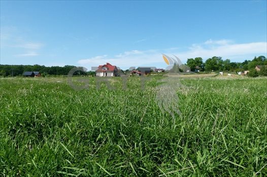 Działka inna na sprzedaż Dębina, Akacjowa 1 616m2 Foto 2