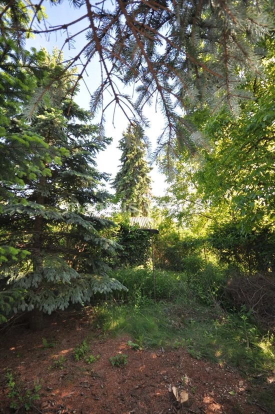 Dom na sprzedaż Wrocław, Śródmieście, Zacisze, Marcelego Handelsmana 140m2 Foto 5