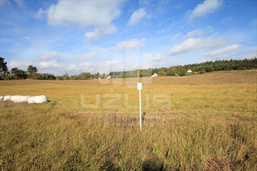 Działka siedliskowa na sprzedaż Grabówko, Jezioro, Las, Grabówko 3 100m2 Foto 10