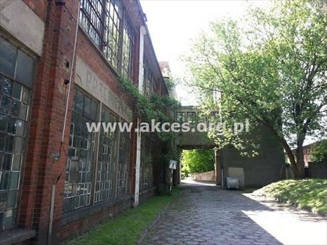 Lokal użytkowy na sprzedaż Żyrardów, Centrum 19 000m2 Foto 3