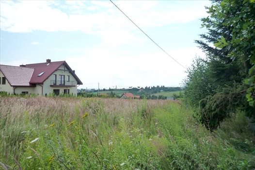 Działka budowlana na sprzedaż Masłomiąca, Masłomiąca 1 341m2 Foto 4