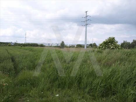 Działka przemysłowo-handlowa pod dzierżawę Gdańsk, Rudniki, TAMA PĘDZICHOWSKA 24 900m2 Foto 2