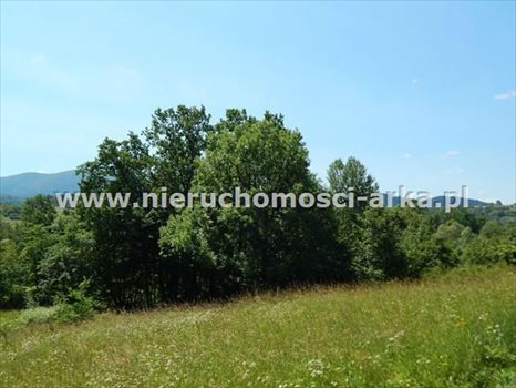 Działka budowlana na sprzedaż Skrzydlna 2 600m2 Foto 5