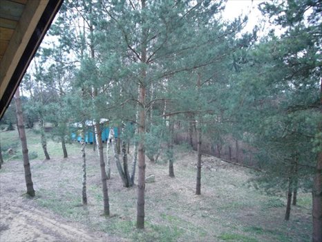 Dom na sprzedaż Borkowo, Nowowiejska 665m2 Foto 3