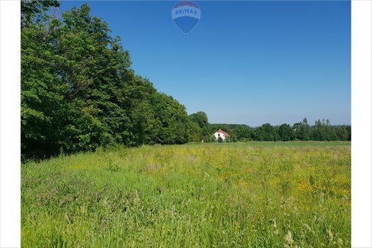 Działka budowlana na sprzedaż Grodziec 1 220m2 Foto 8
