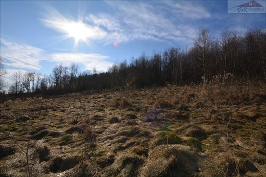 Działka rekreacyjna na sprzedaż Babice 2 400m2 Foto 8