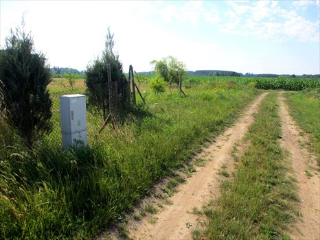 Działka budowlana na sprzedaż Dębowa Łęka, Dębowa Łęka 1 047m2 Foto 5