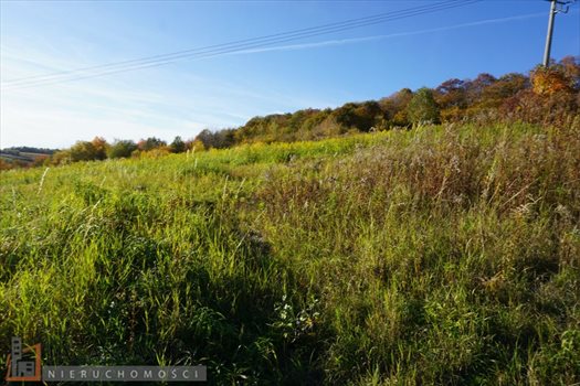 Działka budowlana na sprzedaż Wierzchowie 1 200m2 Foto 4