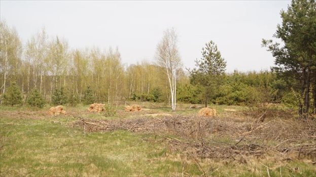 Dom na sprzedaż Tabory-Rzym 60m2 Foto 2