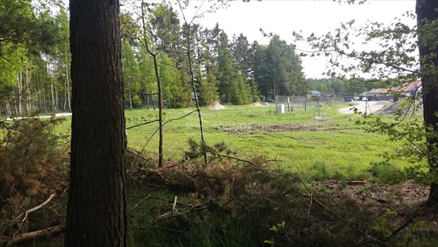 Działka budowlana na sprzedaż Dobrzewino 1 359m2 Foto 4
