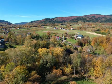 Działka budowlana na sprzedaż Przenosza 2 800m2 Foto 4