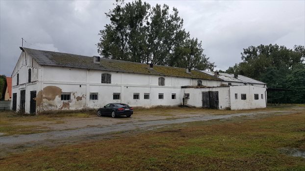 Lokal użytkowy na sprzedaż Szamotuły, Ludwikowo 4 200m2 Foto 8
