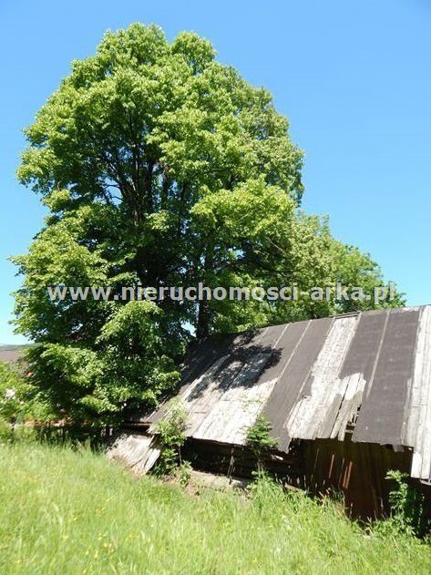 Działka budowlana na sprzedaż Dobra 1 300m2 Foto 4