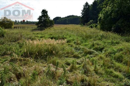 Działka inna na sprzedaż Gudowo, Jezioro, Kościół, Las, Plac zabaw, Przystanek auto 7 892m2 Foto 11