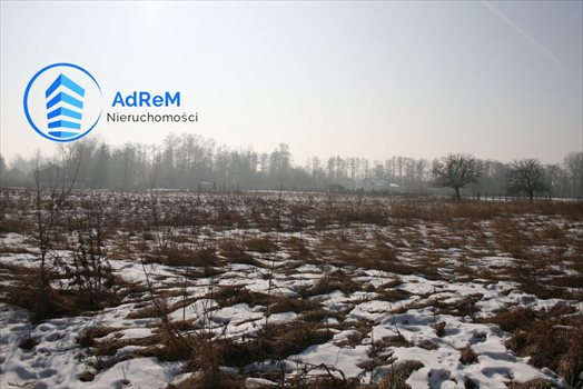 Działka rolna na sprzedaż Kępa Oborska 2 350m2 Foto 2