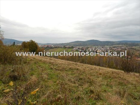 Działka rolna na sprzedaż Jordanów 3 300m2 Foto 2