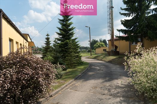 Lokal użytkowy na sprzedaż Knopin 1 527m2 Foto 3