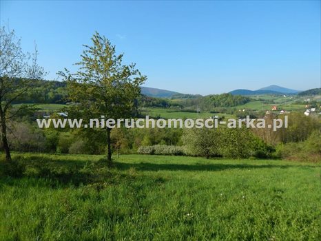 Działka budowlana na sprzedaż Skrzydlna 16 900m2 Foto 2