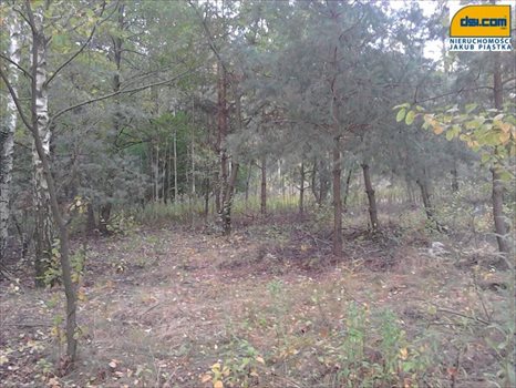 Działka budowlana na sprzedaż Rosanów 1 920m2 Foto 5