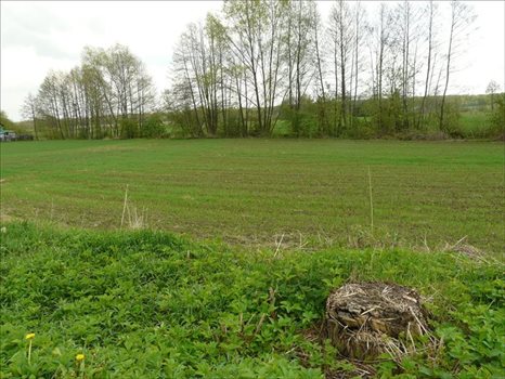 Działka inna na sprzedaż Majdan Krasieniński, Niemce 2 184m2 Foto 2