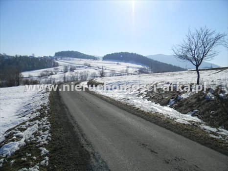 Działka budowlana na sprzedaż Dobra 14 000m2 Foto 3
