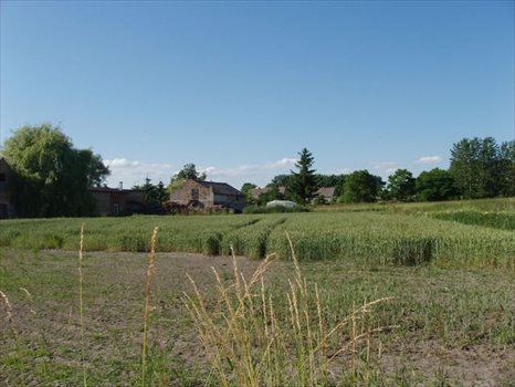 Działka budowlana na sprzedaż Pyrzyce 1 256m2 Foto 2