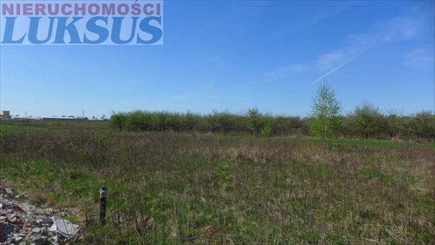 Działka budowlana na sprzedaż Grzędy 1 717m2 Foto 4